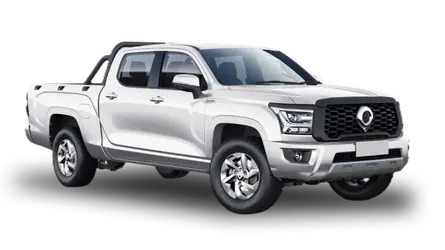 Great Wall Poer King Kong