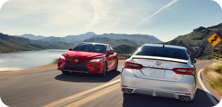 Современные технологичные решения